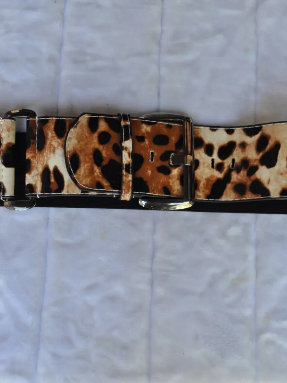 Women's wide belt features a striking leopard print pattern
